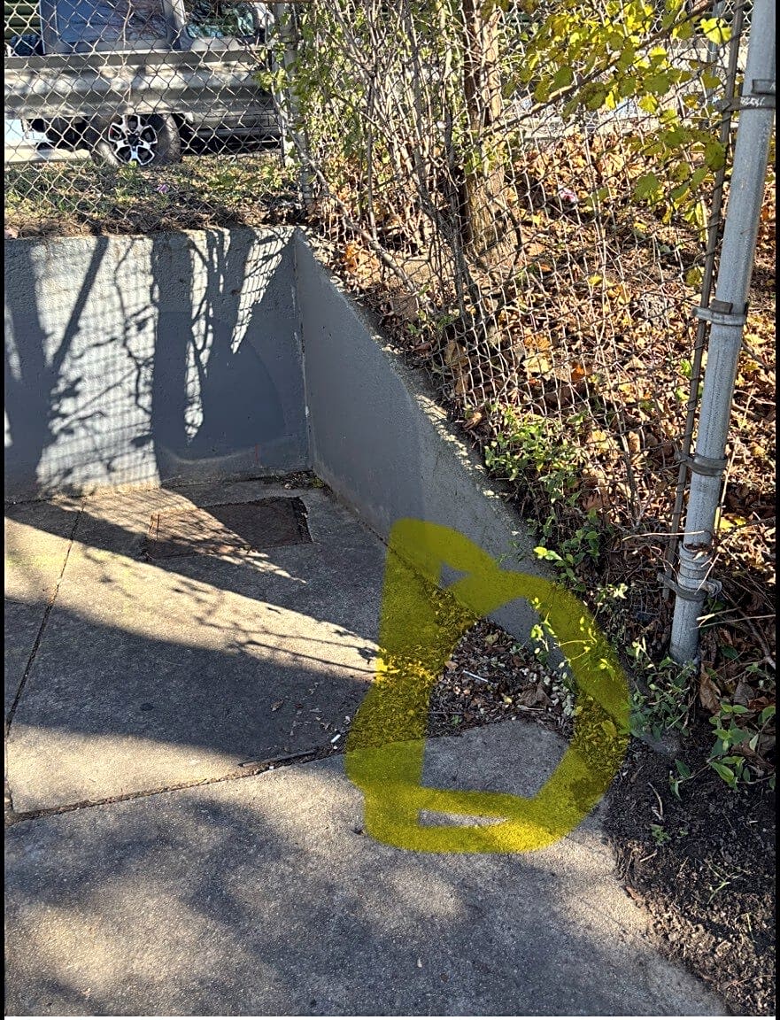 Image submitted with report