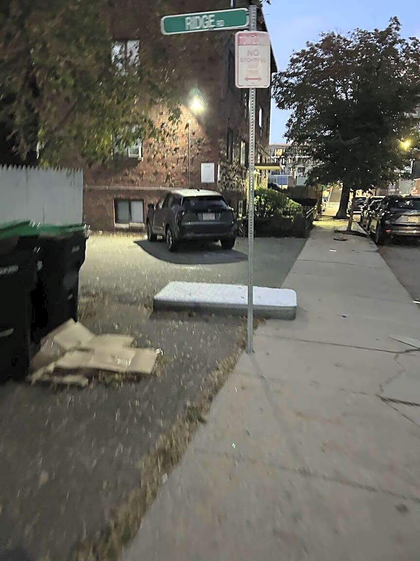Image submitted with report