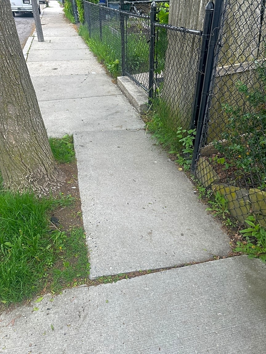 Image submitted with report