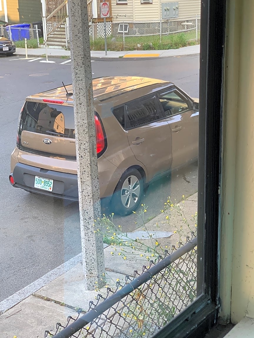 Image submitted with report