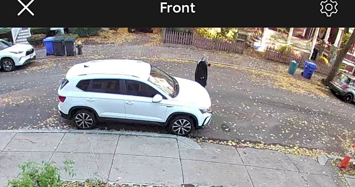 Image submitted with report