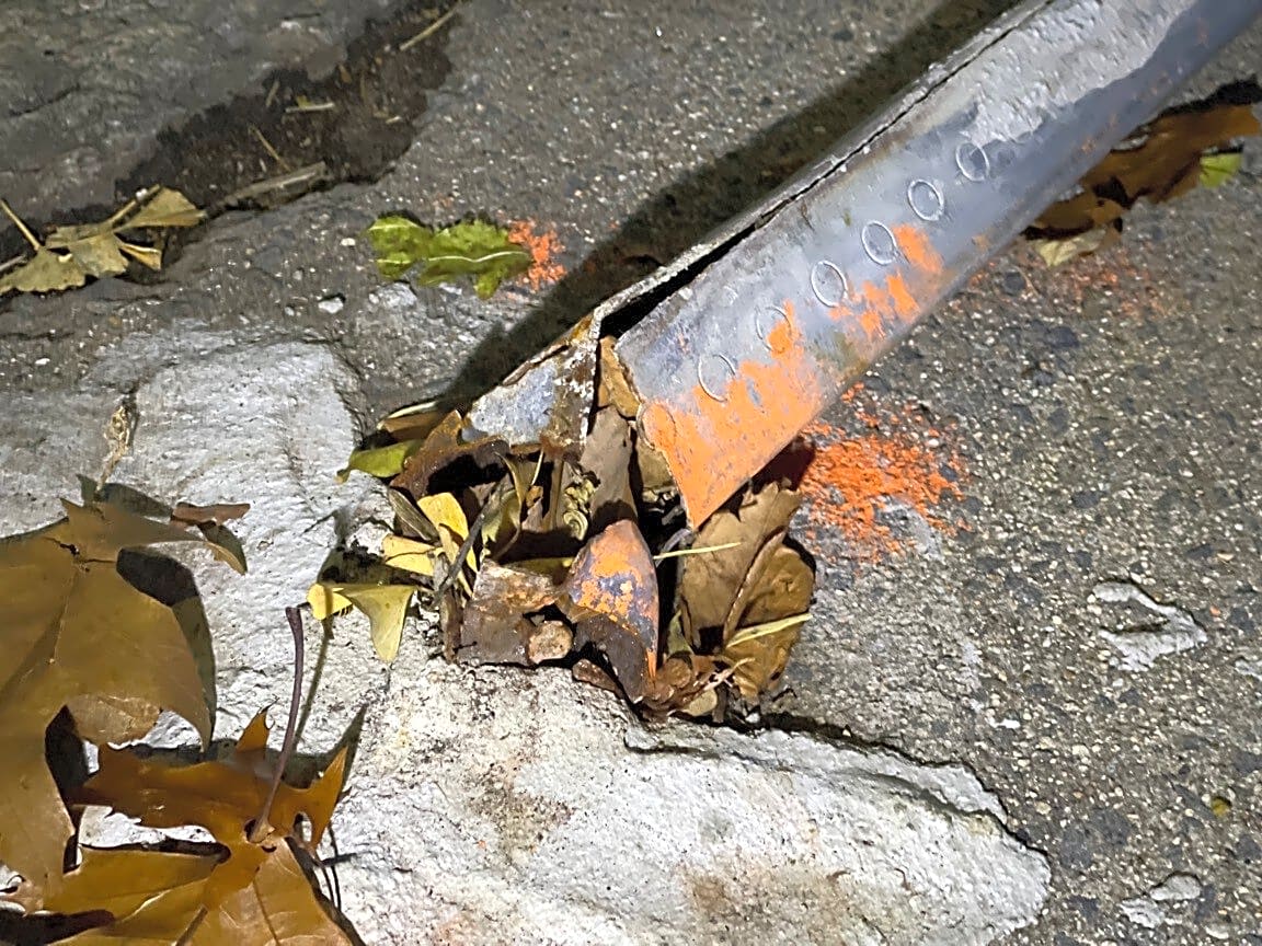 Image submitted with report