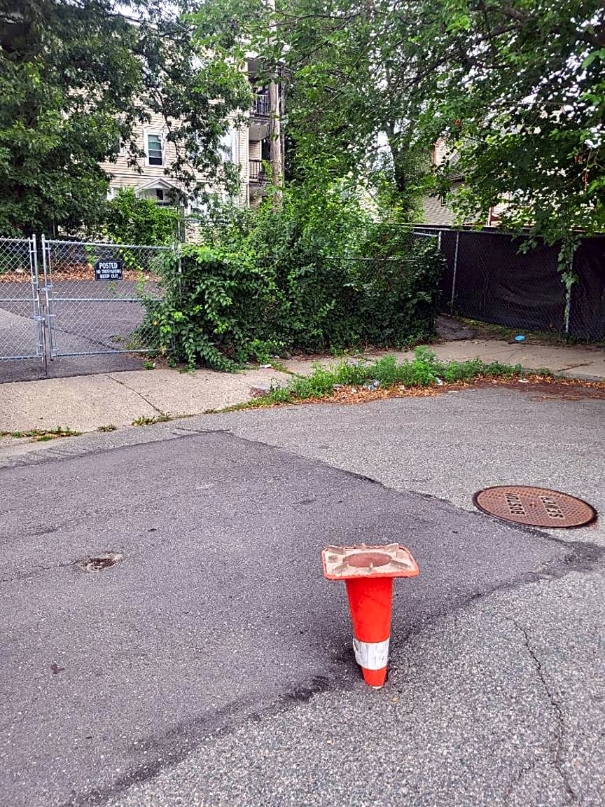 Image submitted with report
