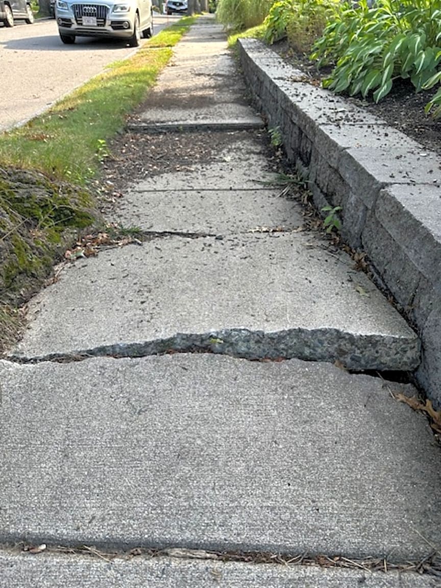 Image submitted with report