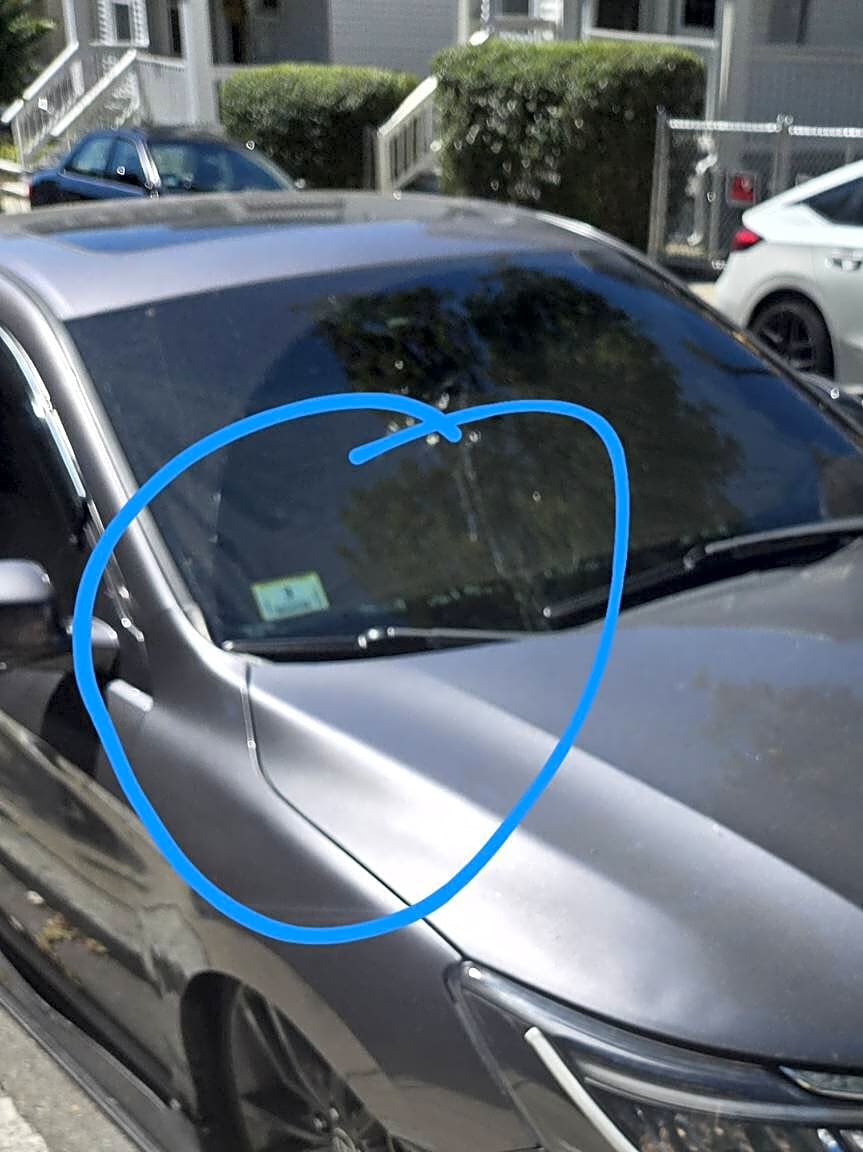 Image submitted with report