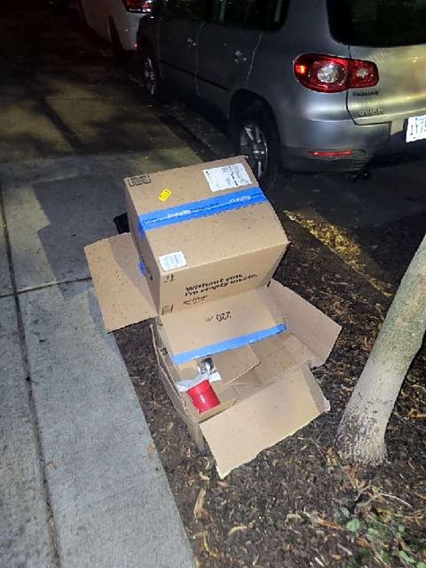 Image submitted with report