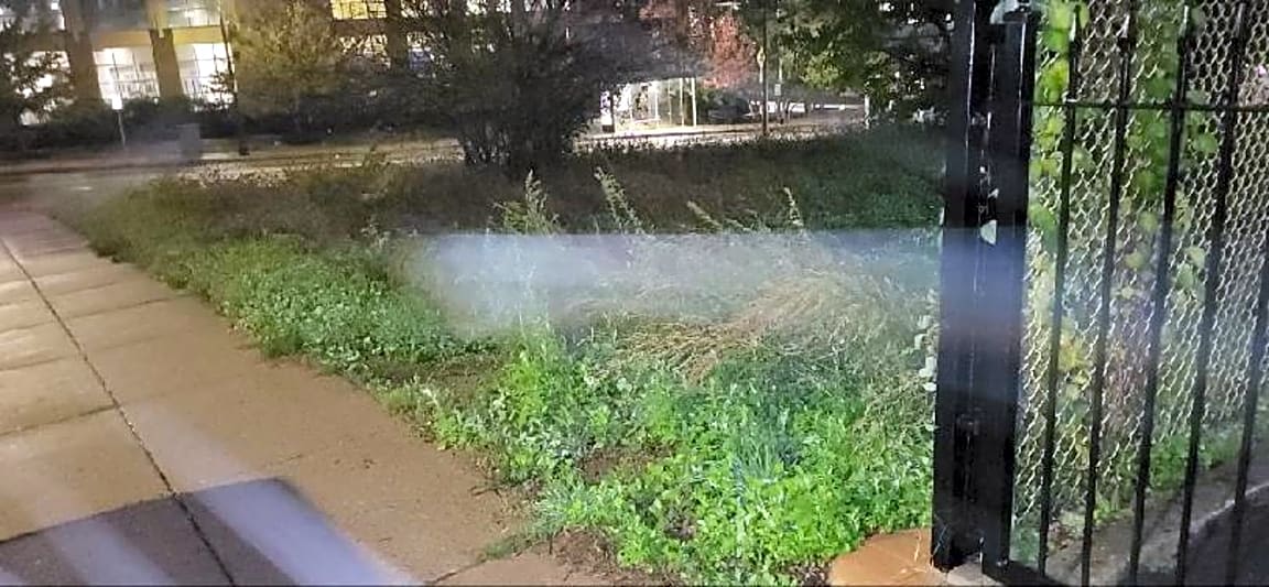 Image submitted with report