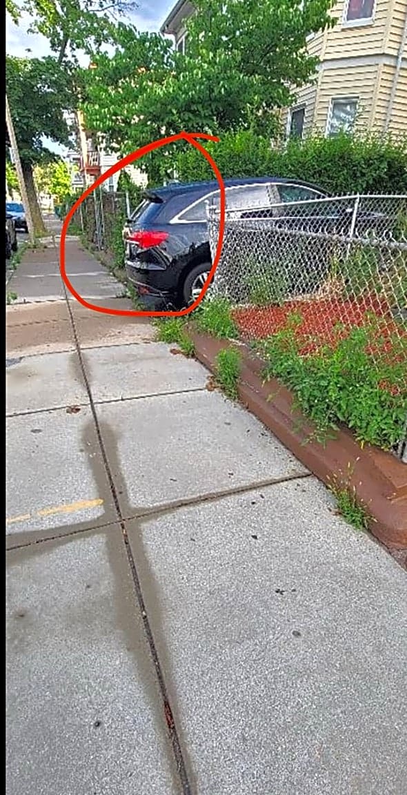 Image submitted with report