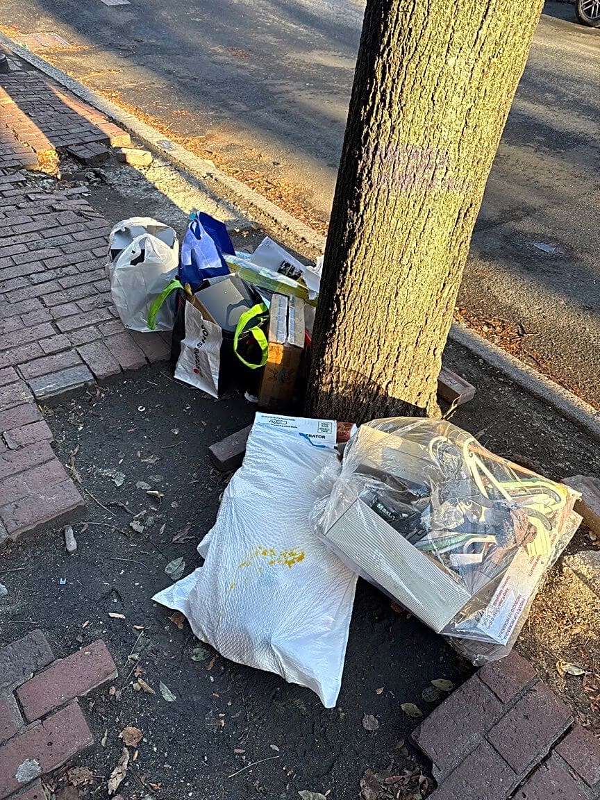 Image submitted with report