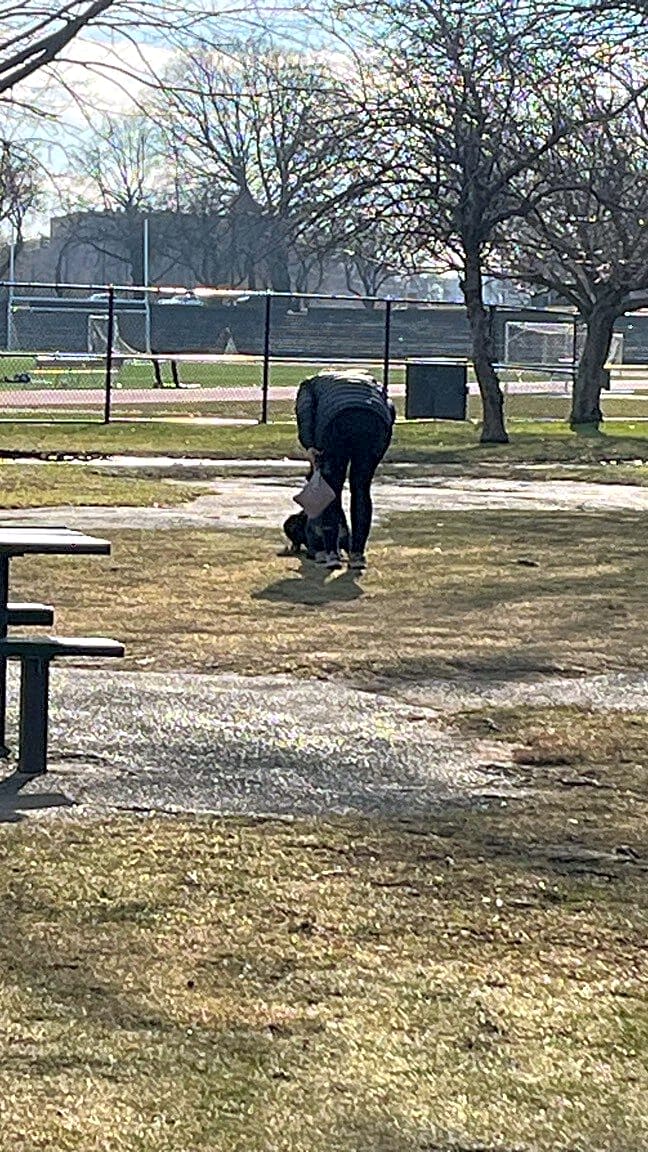 Image submitted with report