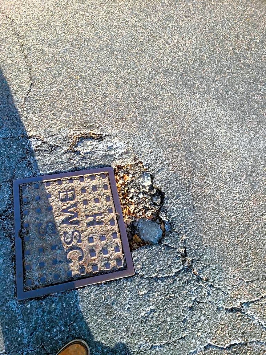 Image submitted with report