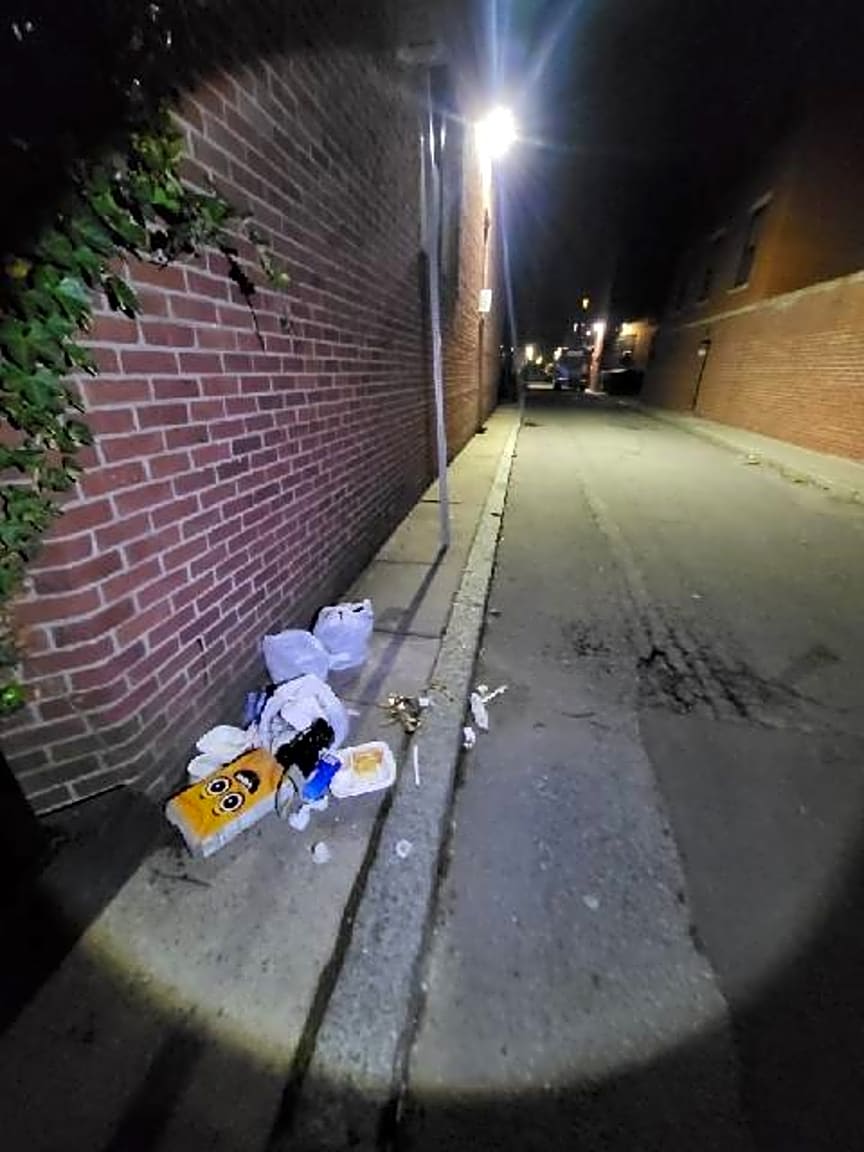 Image submitted with report