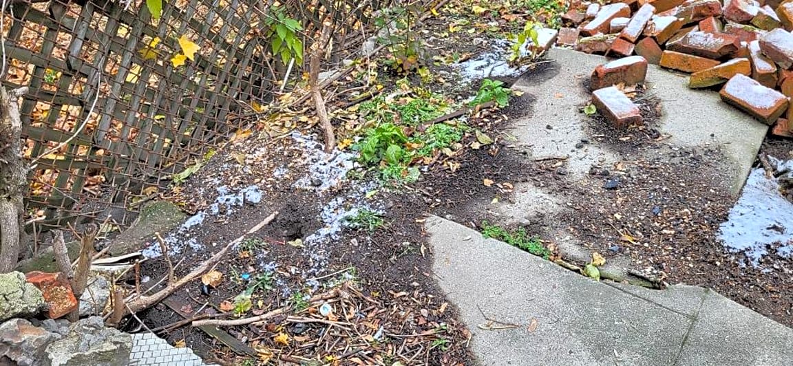 Image submitted with report