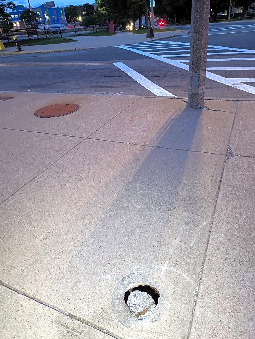 Image submitted with report