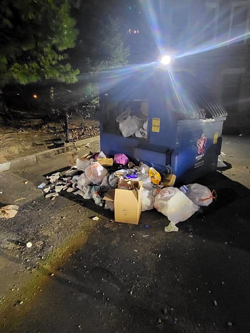Image submitted with report