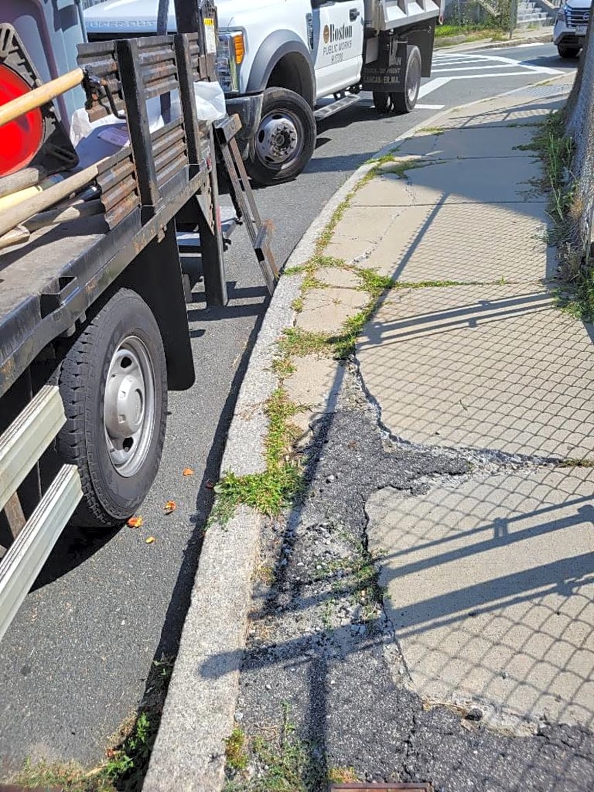 Image submitted with report