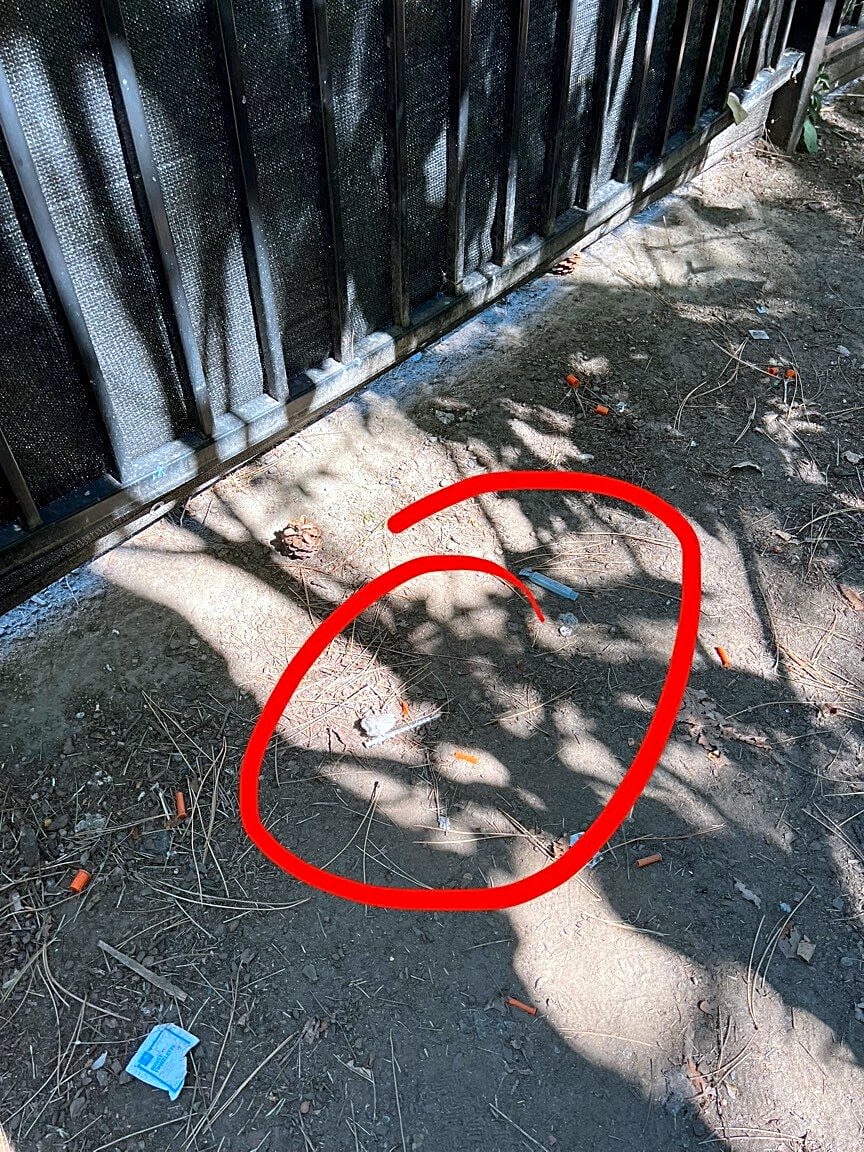 Image submitted with report