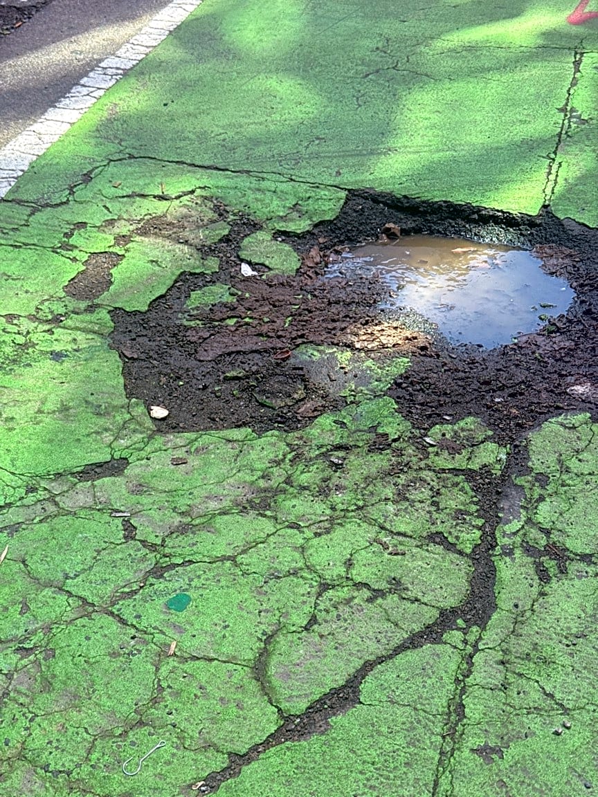 Image submitted with report