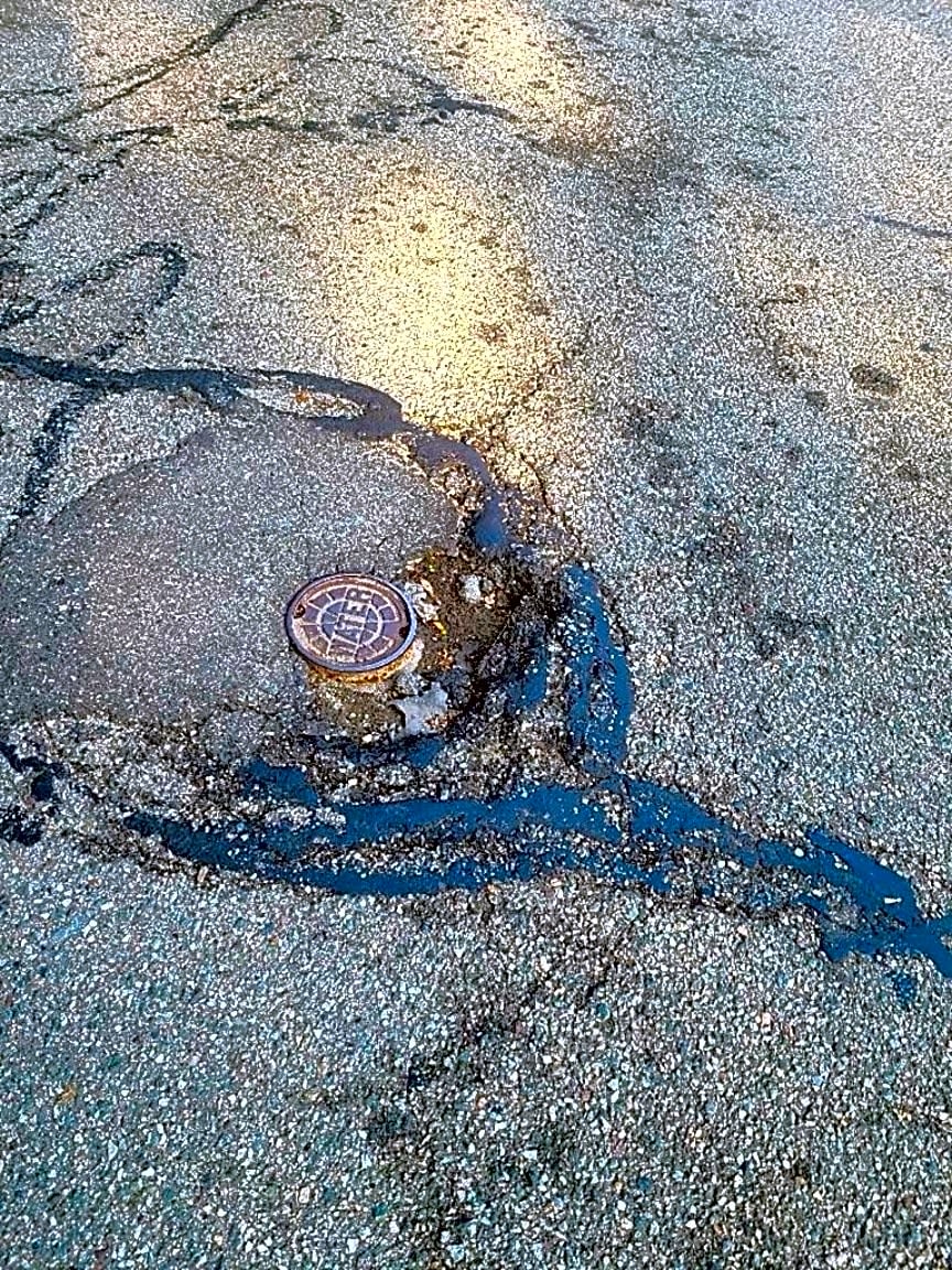 Image submitted with report