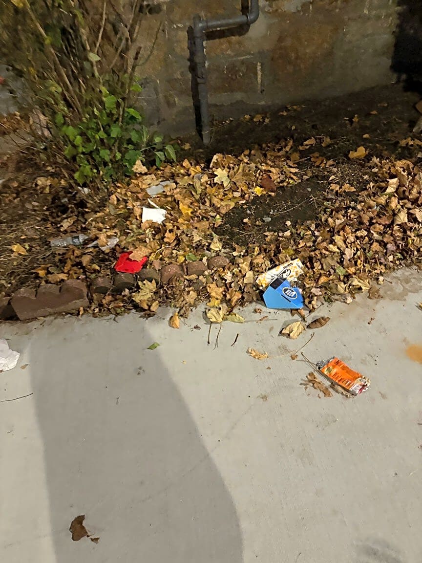 Image submitted with report