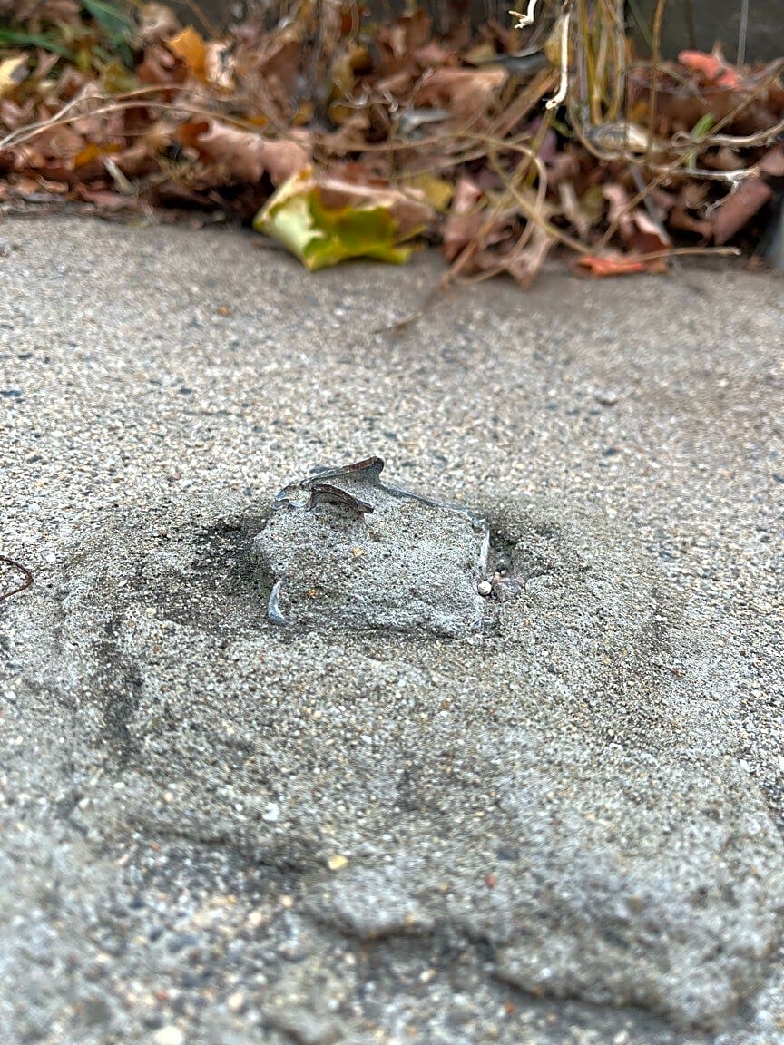 Image submitted with report