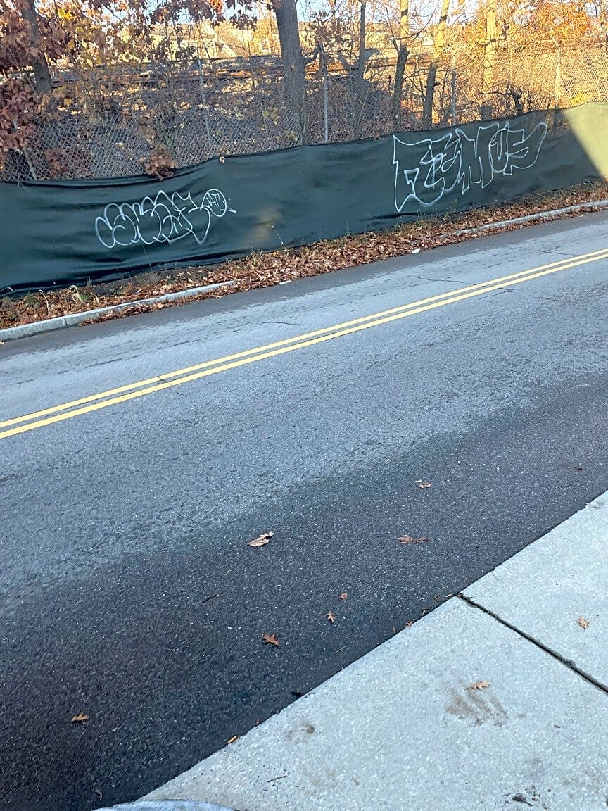 Image submitted with report