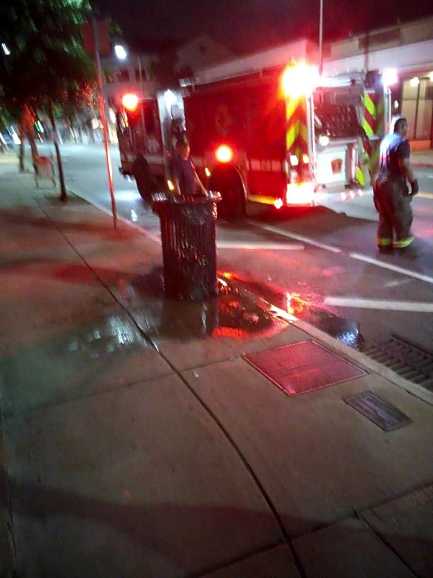 Image submitted with report