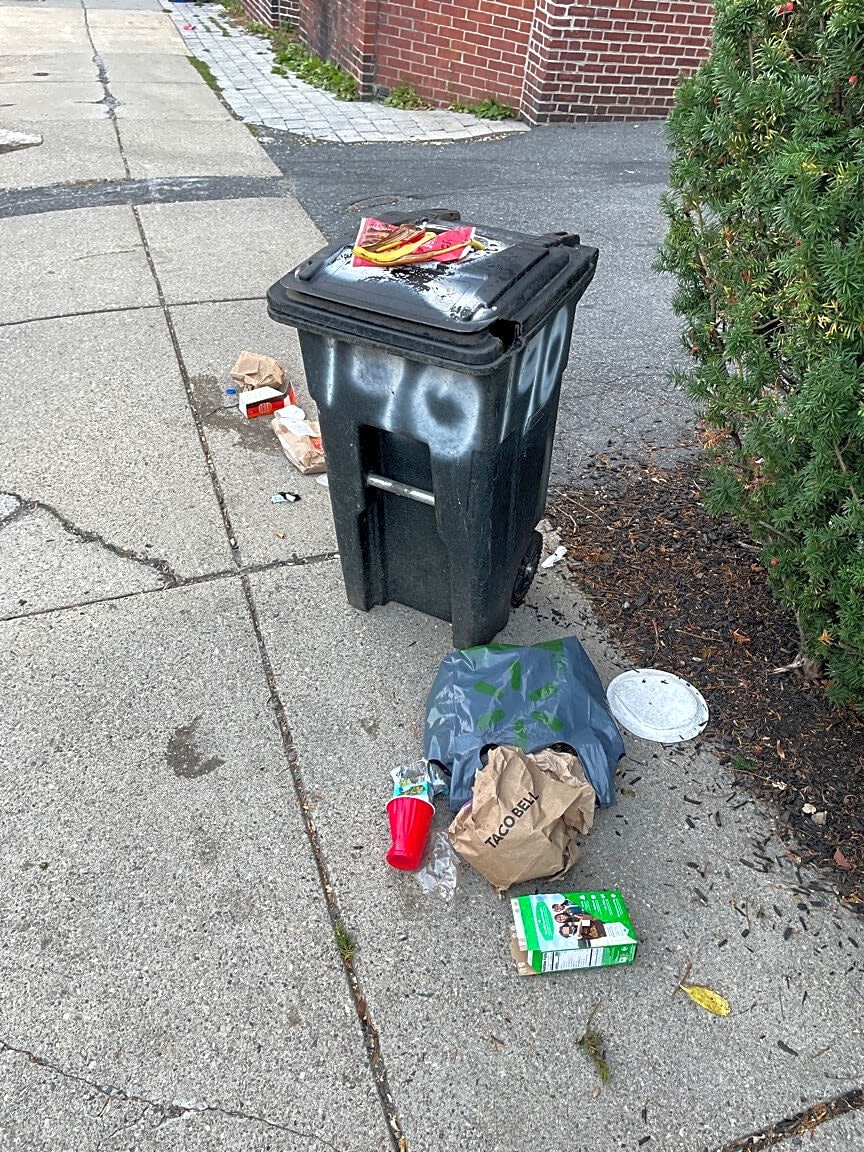Image submitted with report