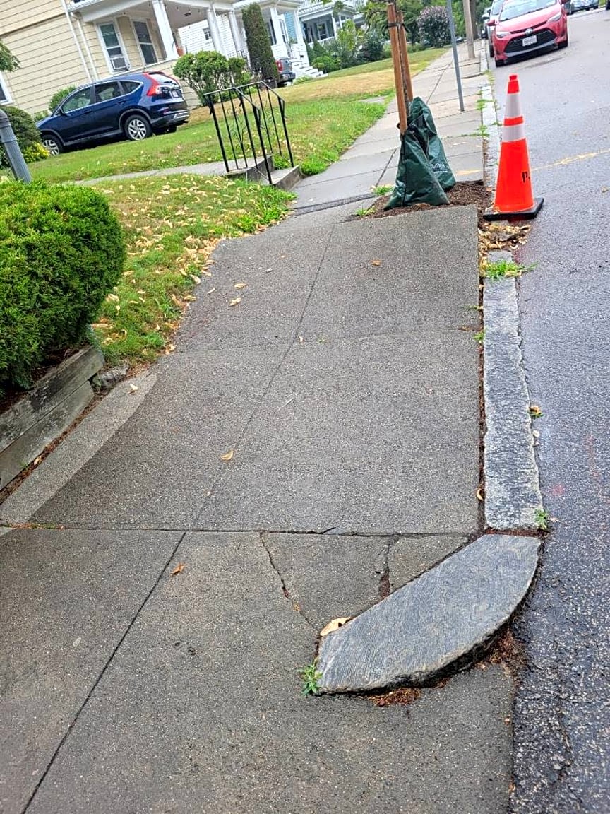 Image submitted with report