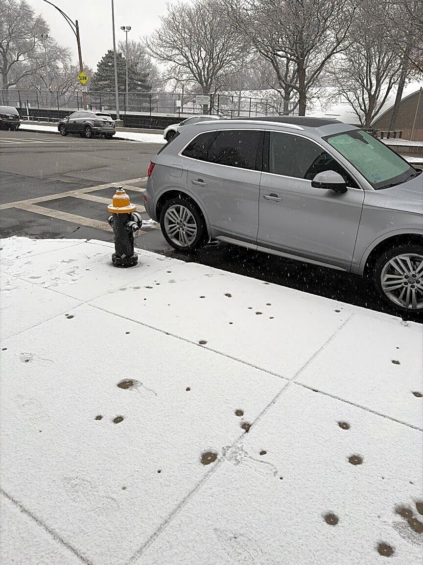 Image submitted with report