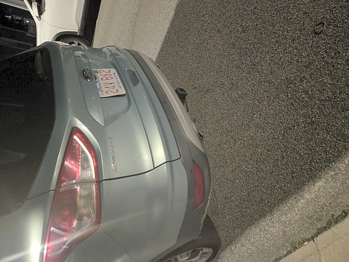 Image submitted with report