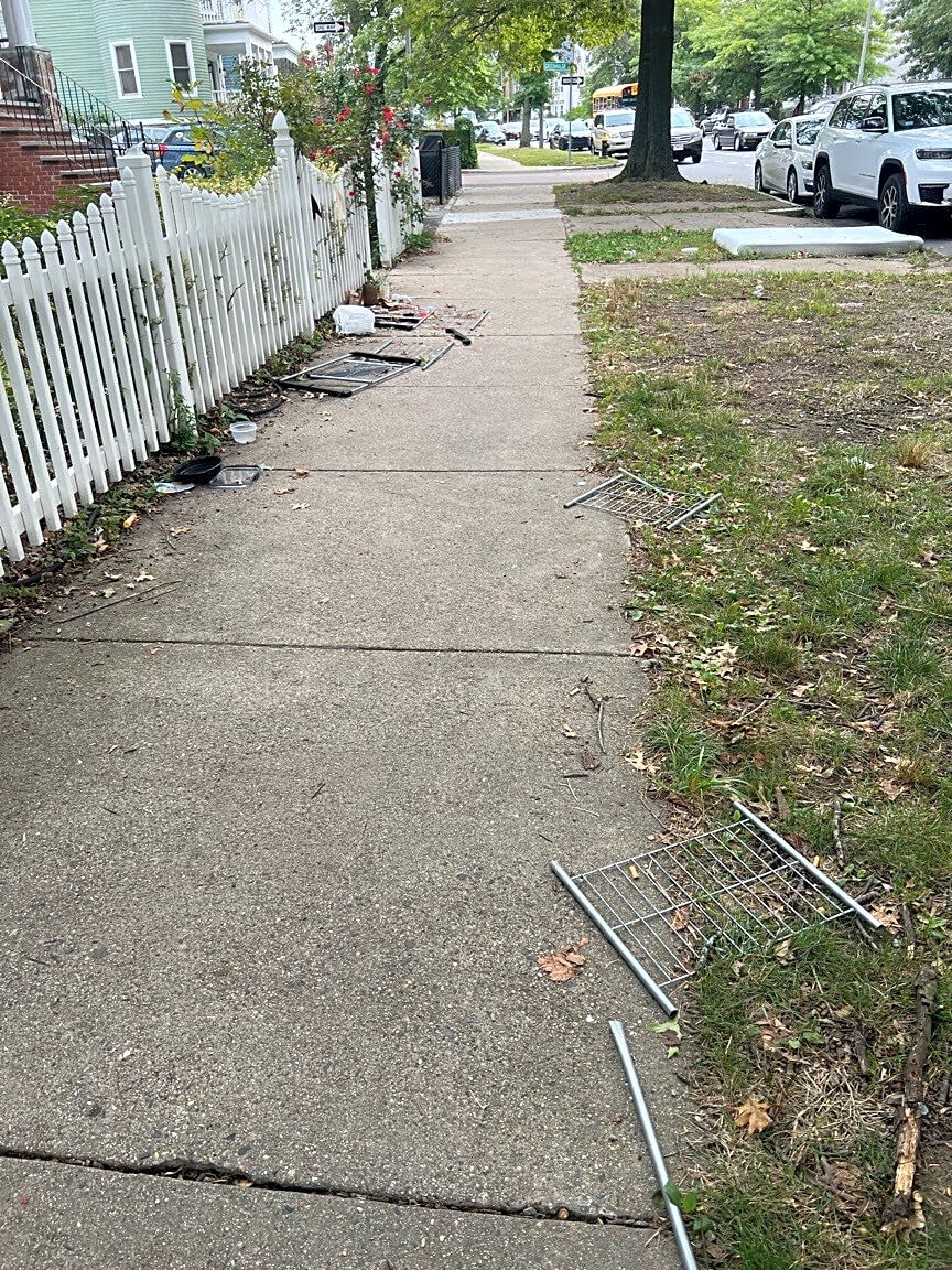 Image submitted with report