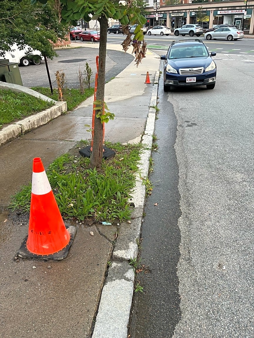 Image submitted with report