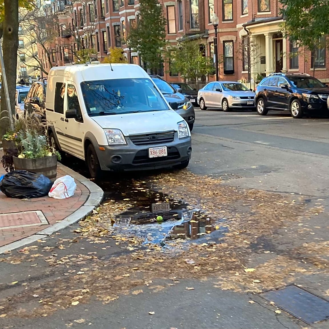 Image submitted with report