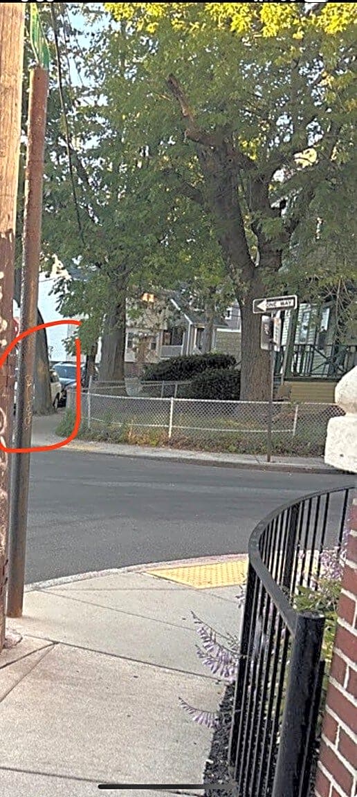 Image submitted with report