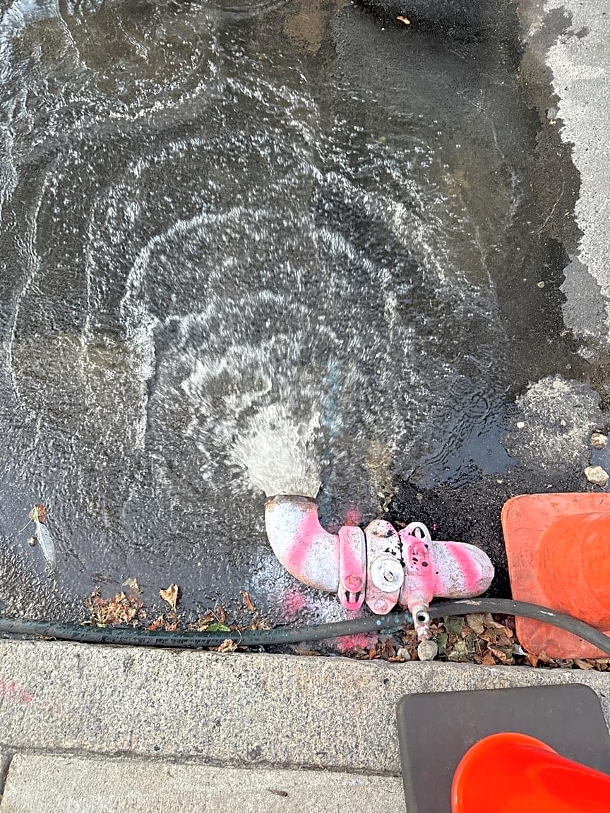 Image submitted with report