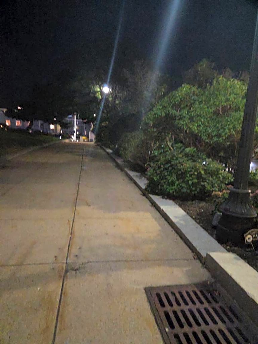 Image submitted with report