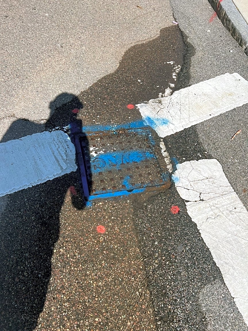 Image submitted with report