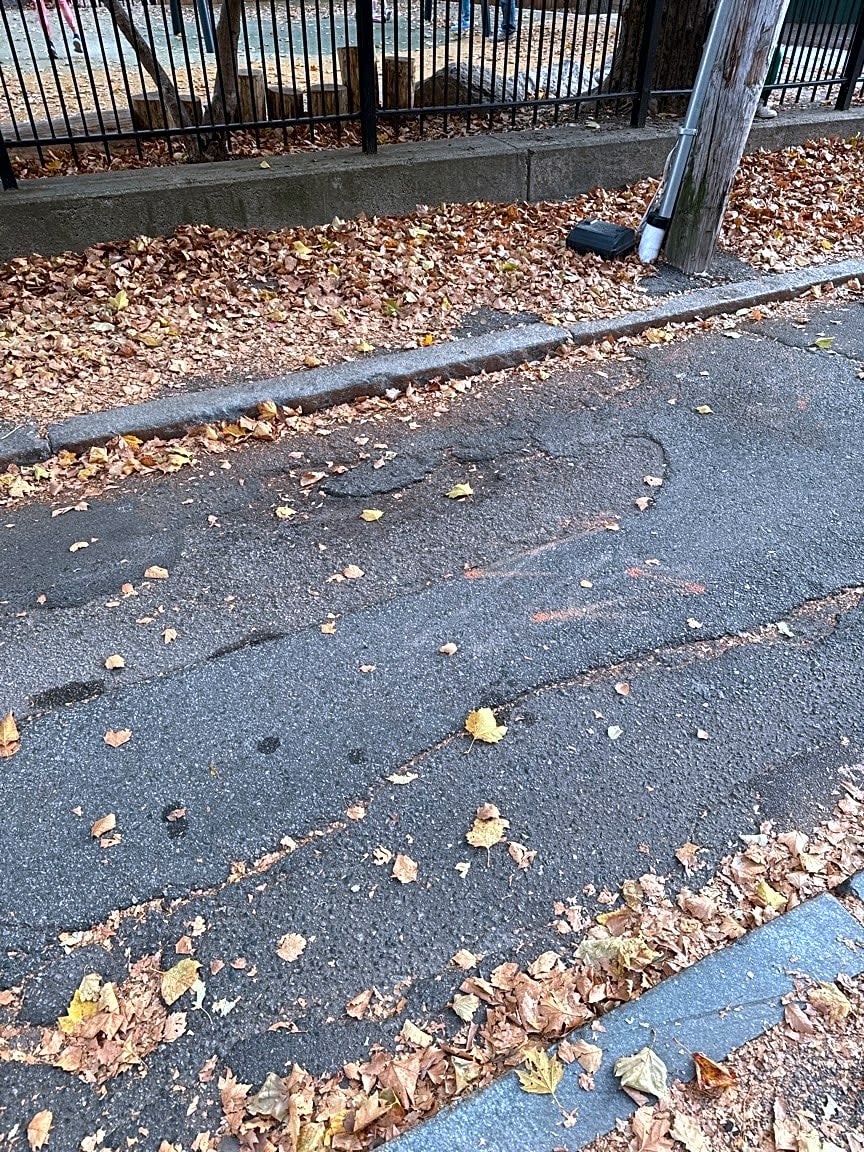 Image submitted with report