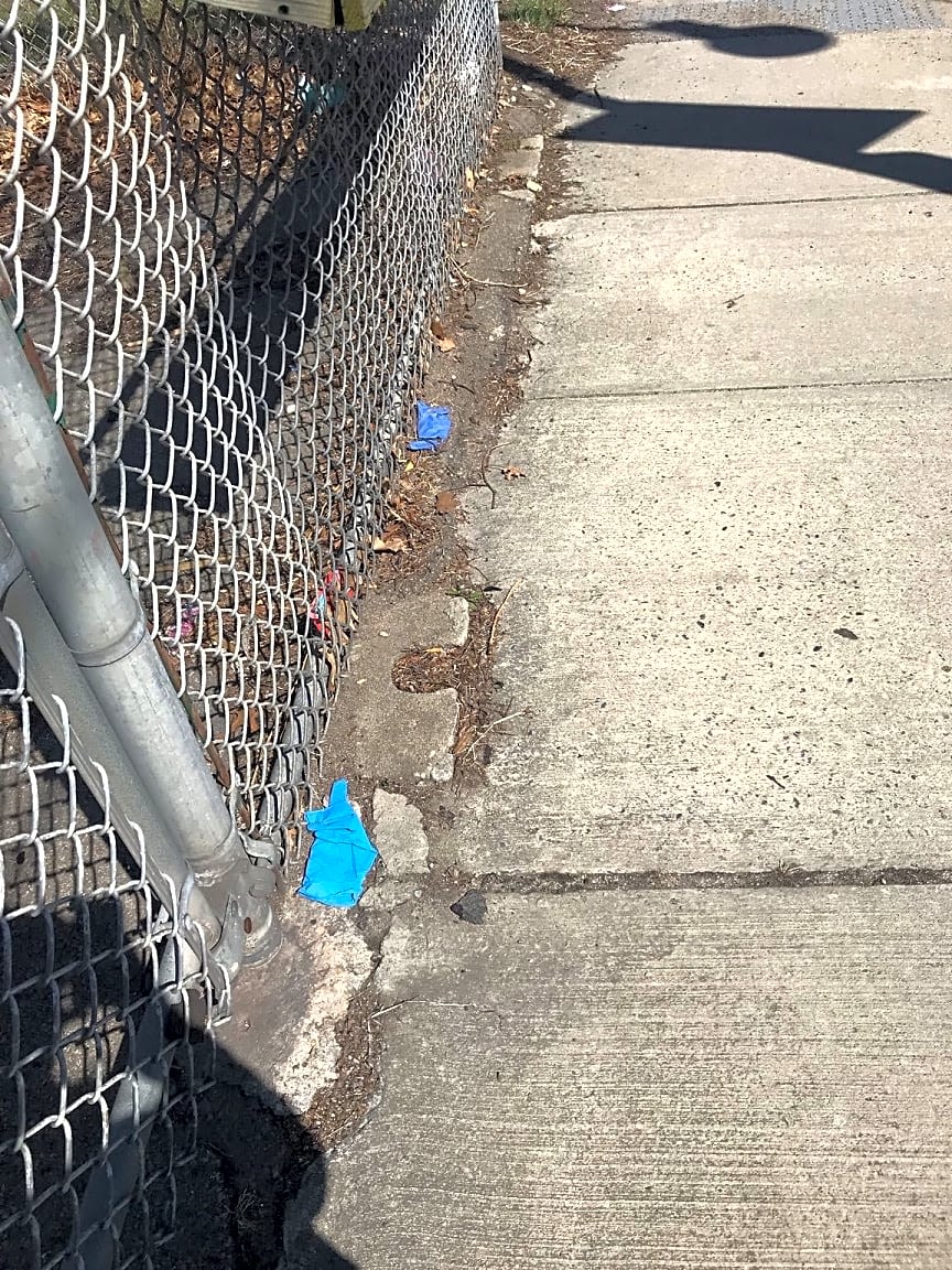Image submitted with report