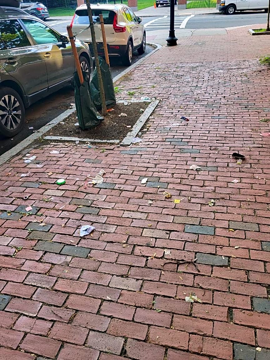 Image submitted with report