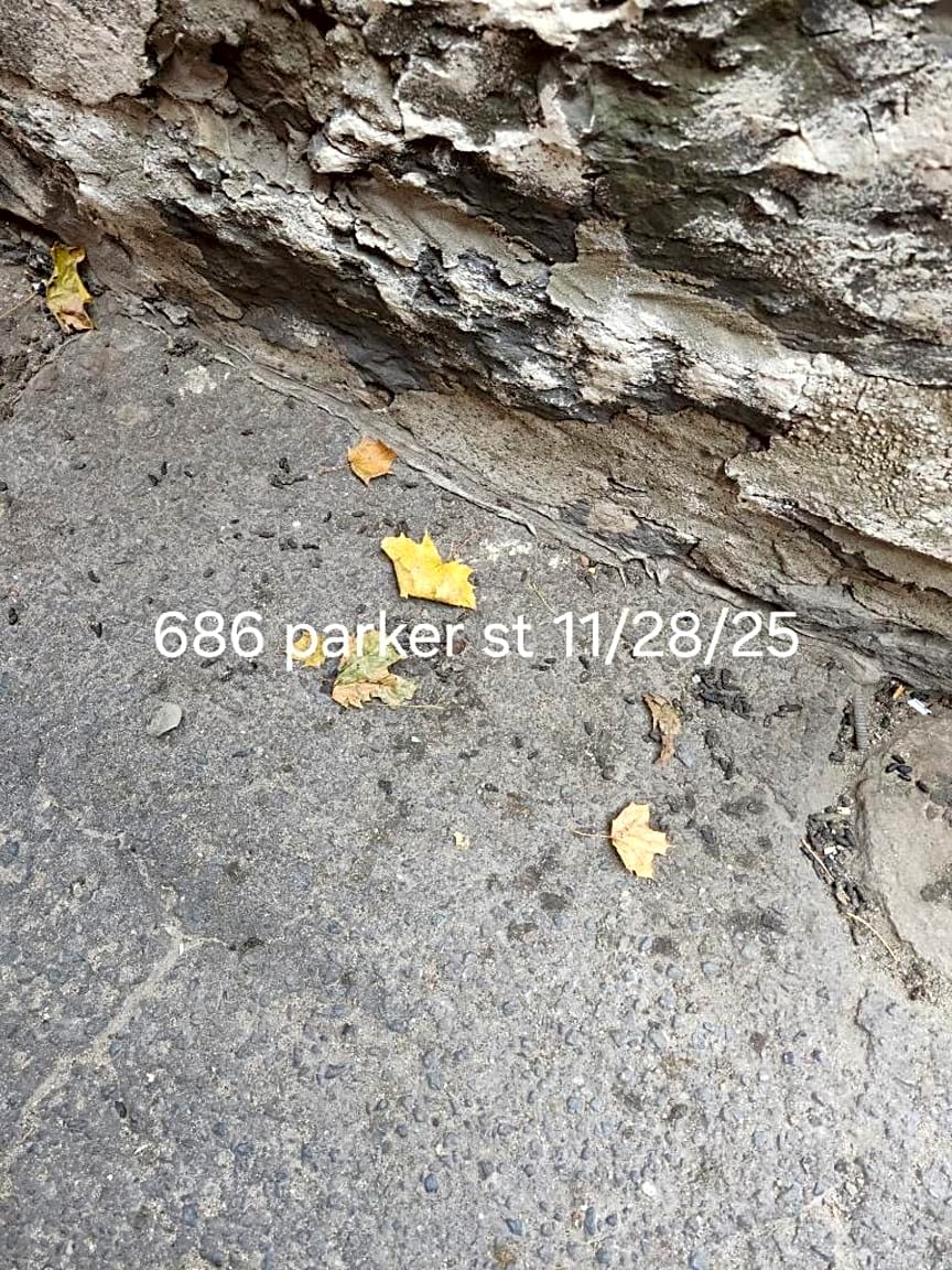 Image submitted with report