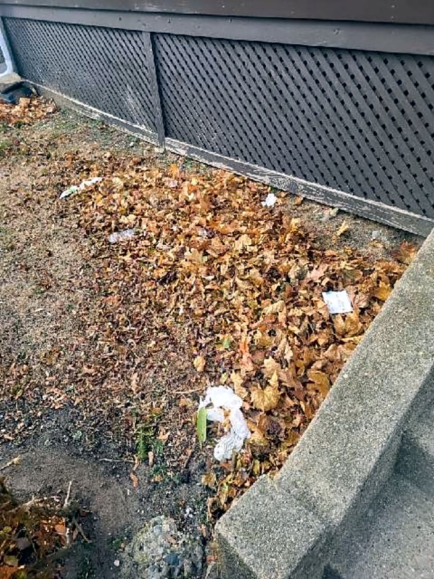 Image submitted with report