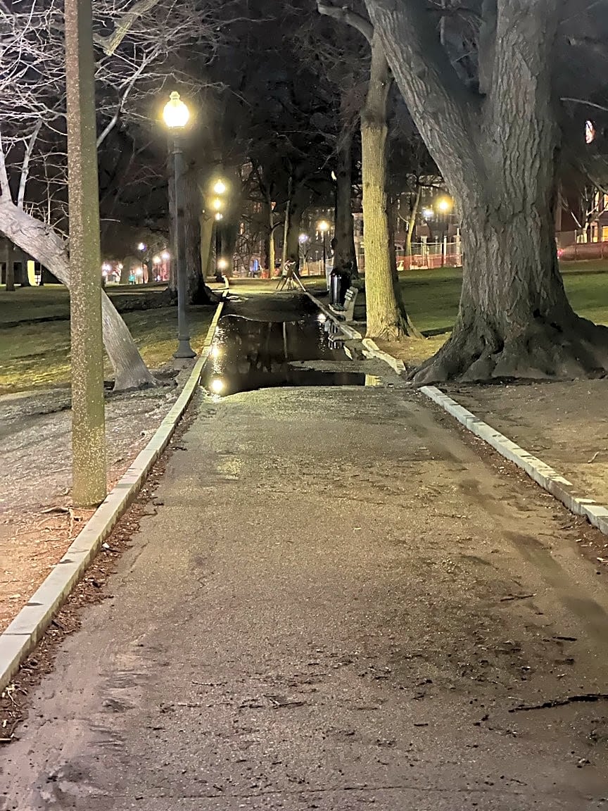 Image submitted with report