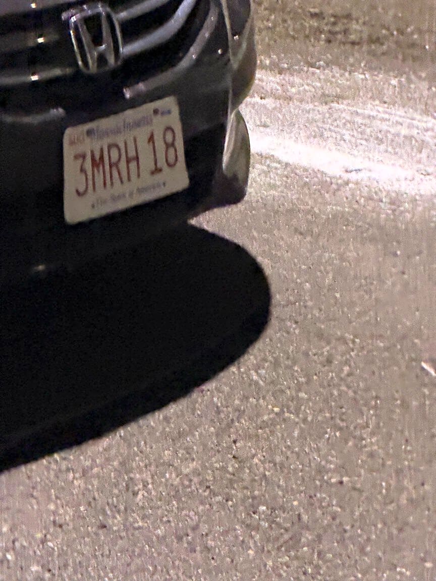 Image submitted with report