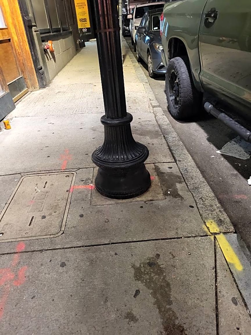 Image submitted with report