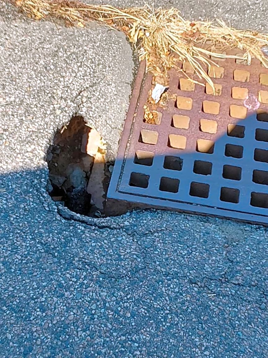 Image submitted with report