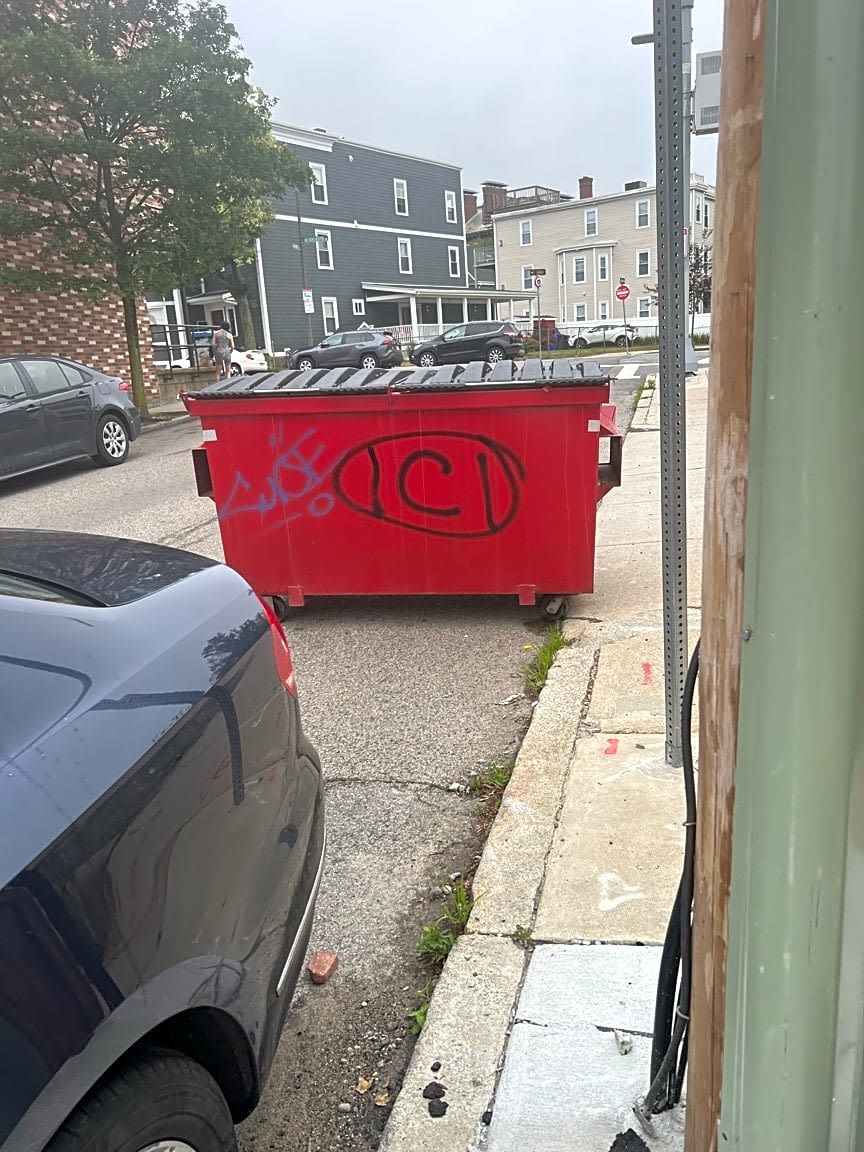Image submitted with report