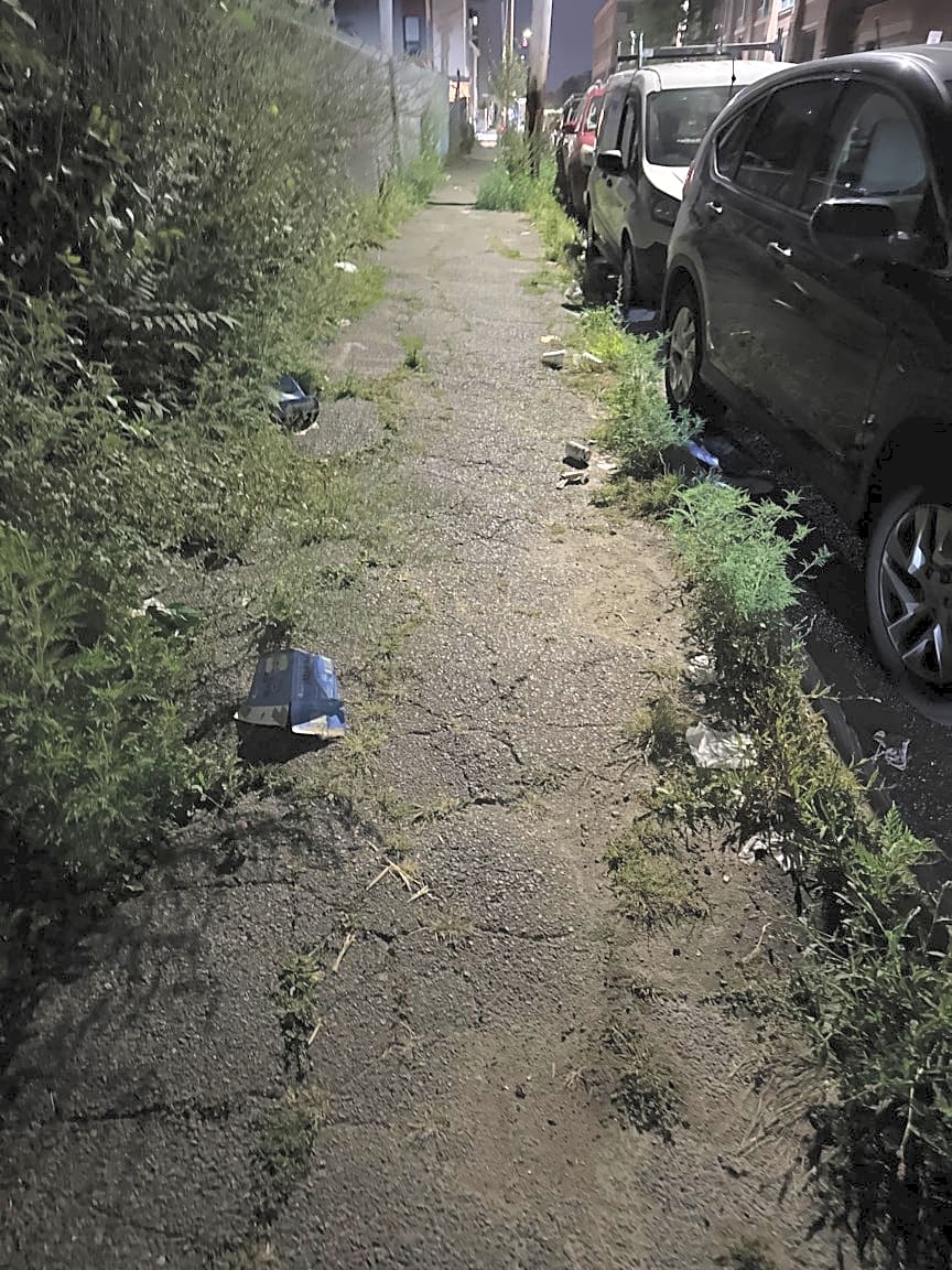 Image submitted with report