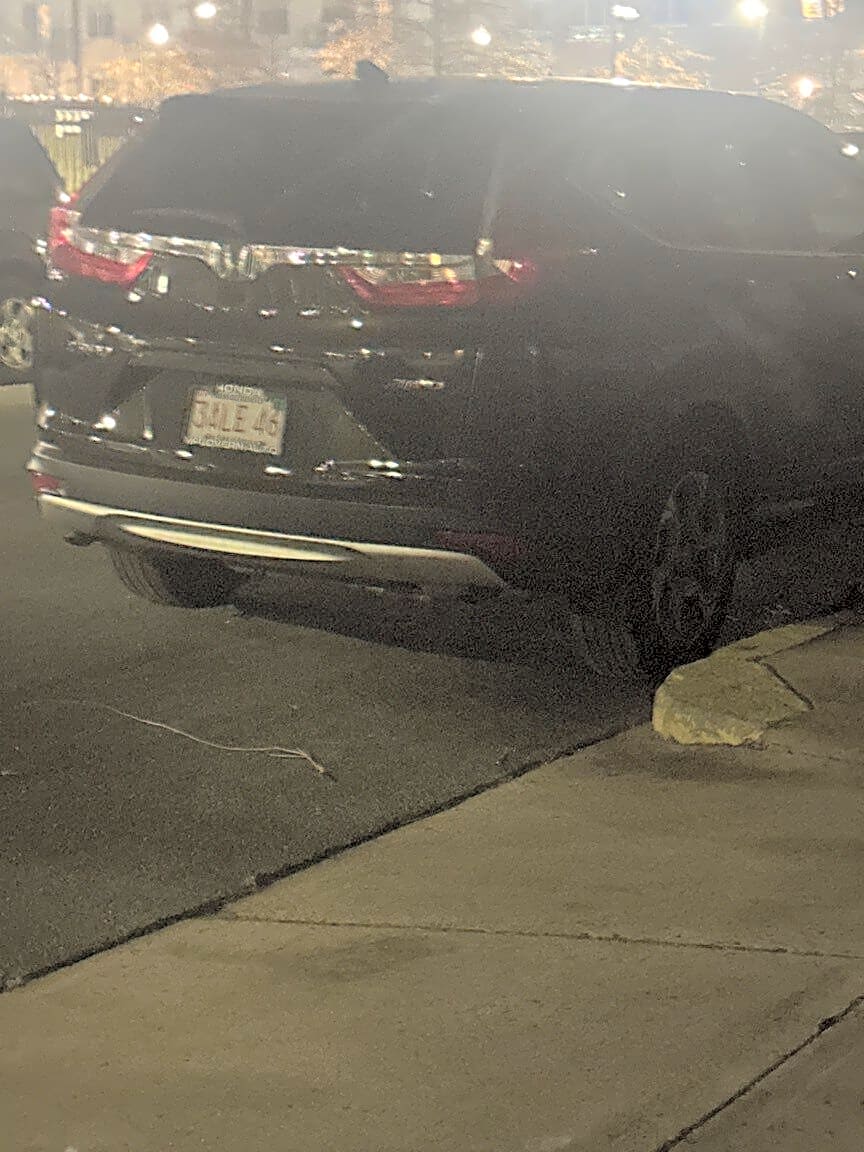 Image submitted with report